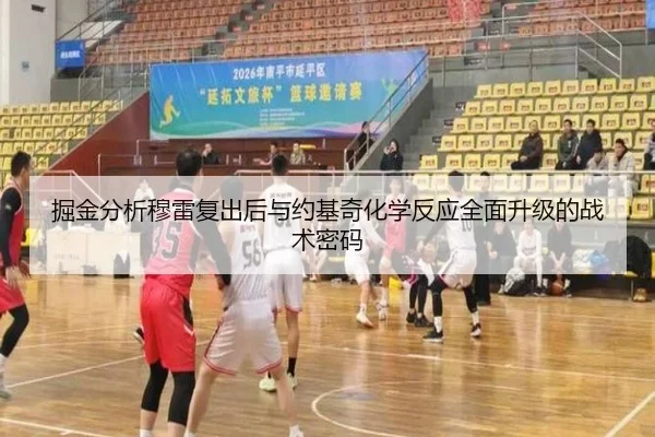 掘金分析穆雷复出后与约基奇化学反应全面升级的战术密码